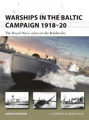 Cover of Warships in the Baltic Campaign 1918–20