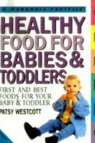 Cover of Healthy Food for Babies and Toddlers