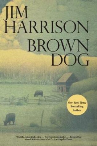 Cover of Brown Dog