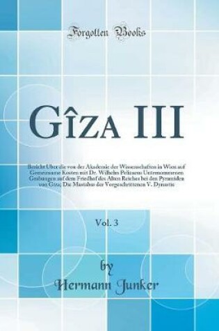 Cover of Gîza III, Vol. 3: Bericht Über die von der Akademie der Wissenschaften in Wien auf Gemeinsame Kosten mit Dr. Wilhelm Pelizaeus Unternommenen Grabungen auf dem Friedhof des Alten Reiches bei den Pyramiden von Gîza; Die Mastabas der Vorgeschrittenen V. Dyna