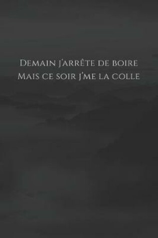 Cover of Demain j'arrete de boire, mais ce soir j'me la colle