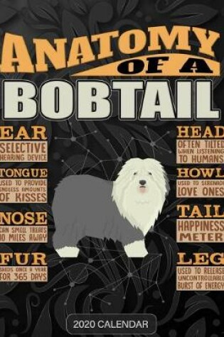 Cover of Anatomy Of A Old English Sheepdog