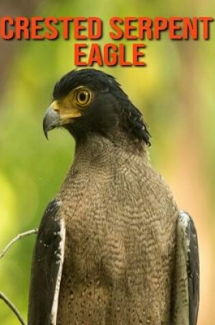 Cover of Crested Serpent Eagle