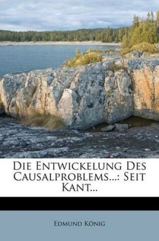 Cover of Die Entwickelung Des Causalproblems...