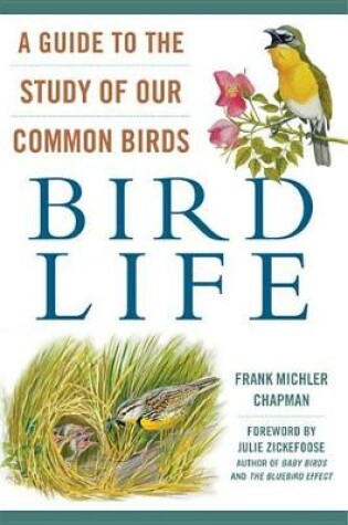 Cover of Bird Life