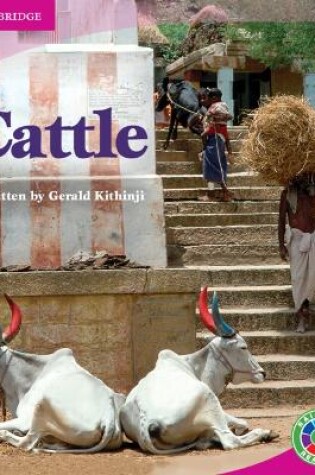 Cover of Cattle