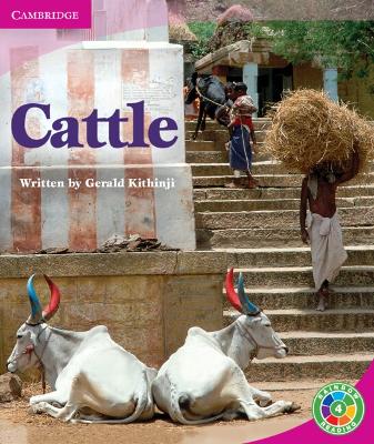 Cover of Cattle