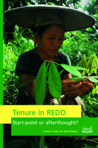 Cover of Tenure in REDD
