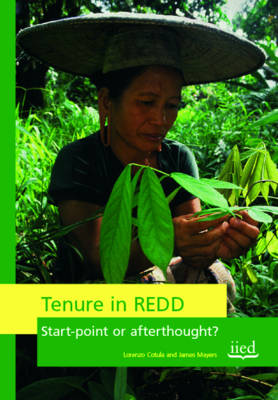 Book cover for Tenure in REDD