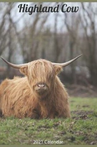 Cover of Highland Cows 2021 Calendar