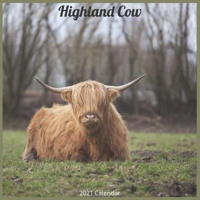 Book cover for Highland Cows 2021 Calendar