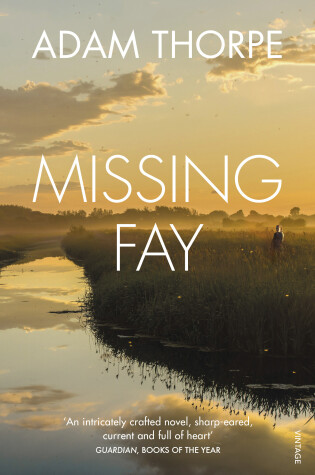 Cover of Missing Fay