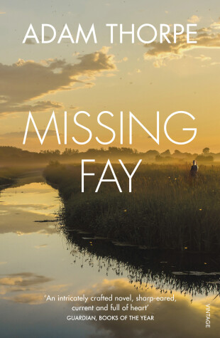 Book cover for Missing Fay