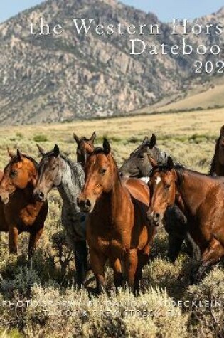 Cover of 2020 Western Horse Datebook