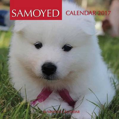 Book cover for Samoyed Calendar 2017