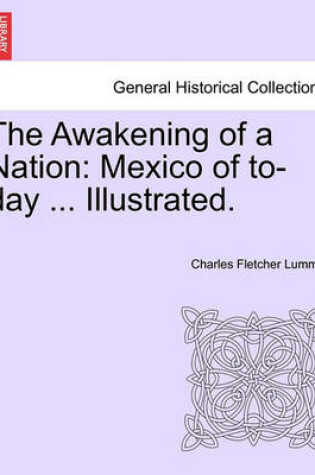 Cover of The Awakening of a Nation