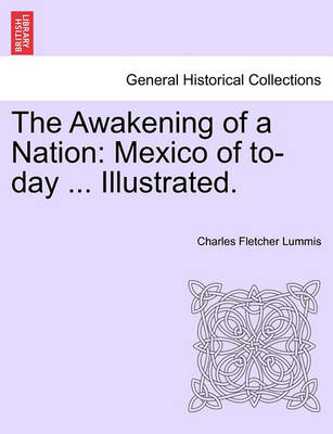 Book cover for The Awakening of a Nation