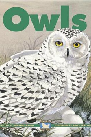 Cover of Owls