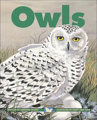 Cover of Owls