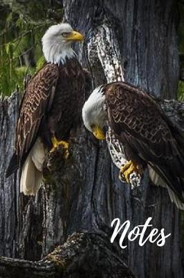 Book cover for Bald Eagle Journal