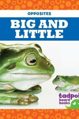 Cover of Big and Little