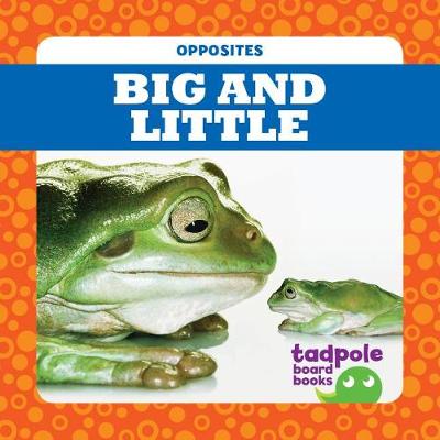 Cover of Big and Little