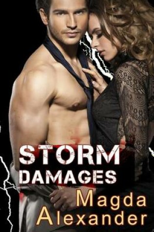 Cover of Storm Damages