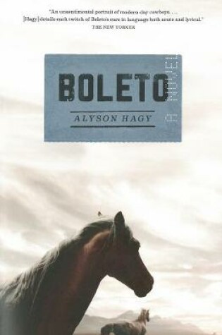 Cover of Boleto