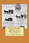 Book cover for Death, Disaster and the South Wales Railways