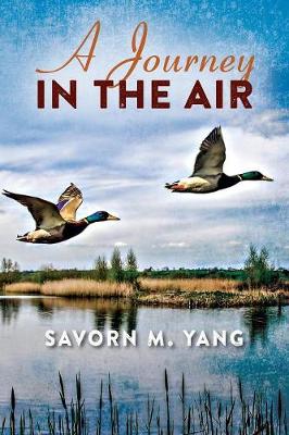 Cover of A Journey In The Air