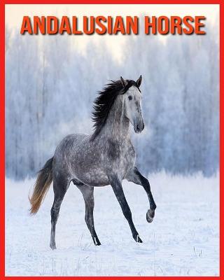 Book cover for Andalusian Horse