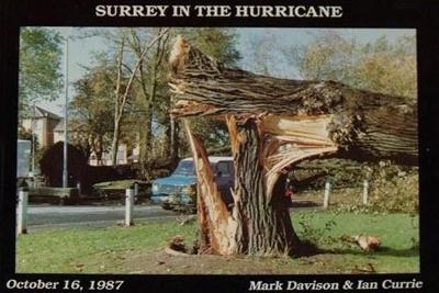 Cover of Surrey in the Hurricane: Great Storm of October 16th 1987