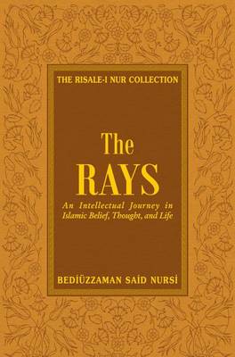 Book cover for Rays