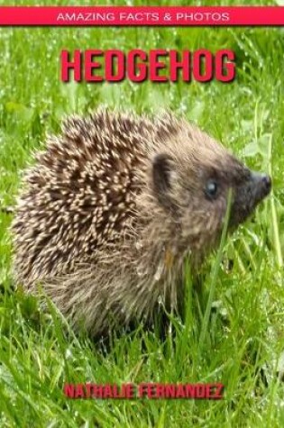 Cover of Hedgehog