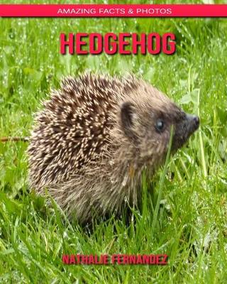 Book cover for Hedgehog