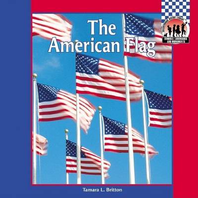 Book cover for American Flag eBook