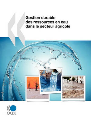 Book cover for Gestion durable des ressources en eau dans le secteur agricole