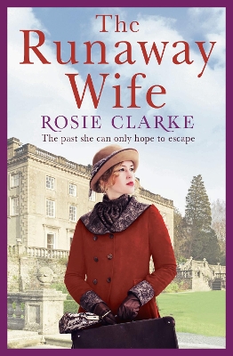 Book cover for The Runaway Wife