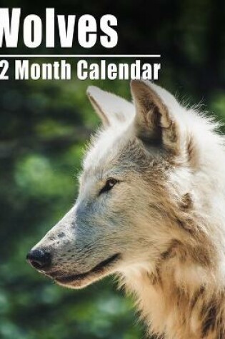 Cover of Calendar 2021 Wolves