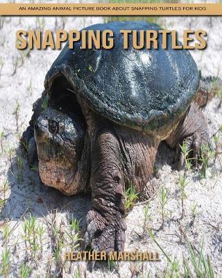 Book cover for Snapping Turtles