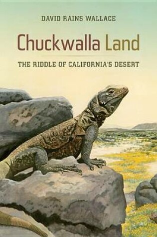 Cover of Chuckwalla Land