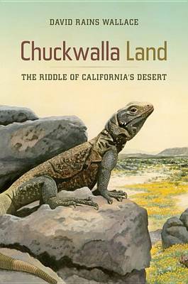 Book cover for Chuckwalla Land