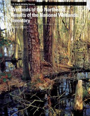 Book cover for Wetlands of the Northeast
