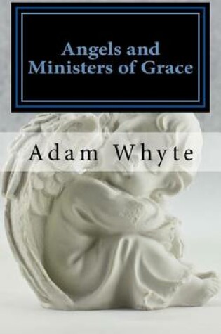 Cover of Angels and Ministers of Grace