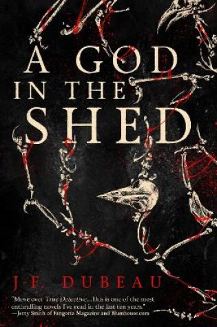 Cover of A God in the Shed