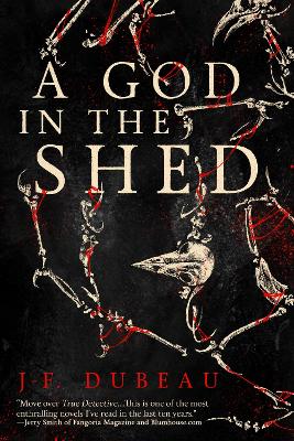 Book cover for A God in the Shed