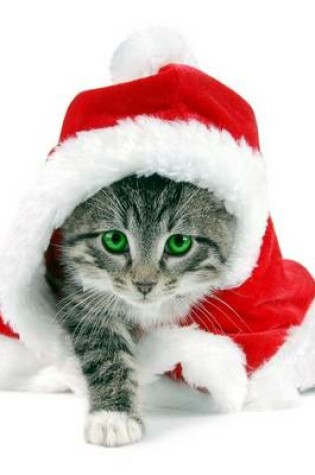 Cover of A Striped Cat Dressed Like Santa for Christmas