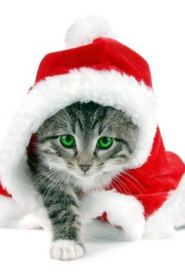 Book cover for A Striped Cat Dressed Like Santa for Christmas