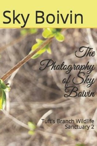 Cover of The Photography of Sky Boivin