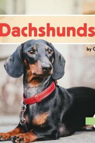 Cover of Dachshunds